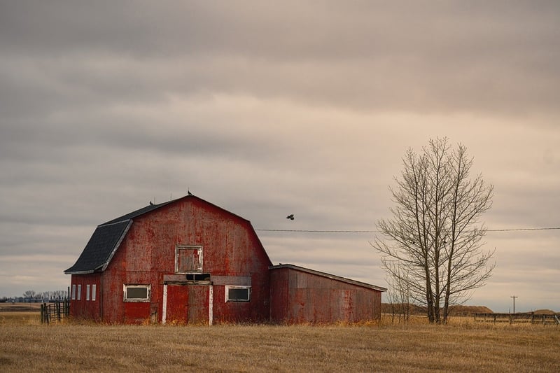 Rustic Barn Venue